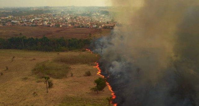 Pantanal