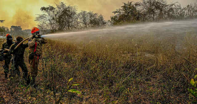 Pantanal Meio Ambiente