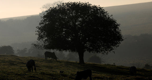 Agronegócio-Meio Ambiente