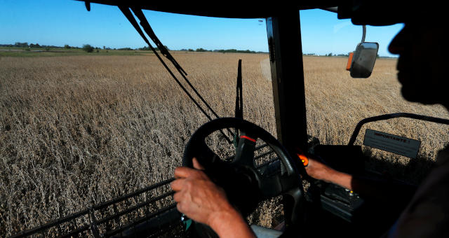 Agronegócio Agricultura Trigo Grãos