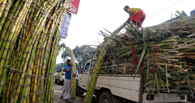 Cana-de-açúcar Commodities Agronegócio