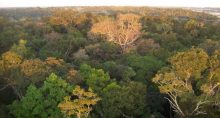 Amazônia Meio Ambiente 7