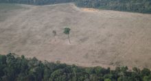 Floresta Amazônica