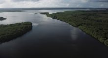 Manguezal no rio Caratingui, em Cairu, Bahia