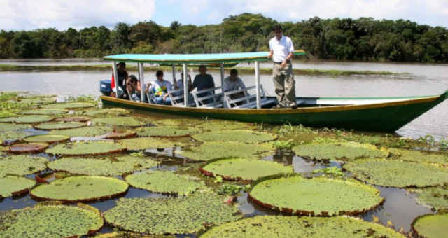 Meio Ambiente Amazônia