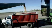 As melhores ações do agro