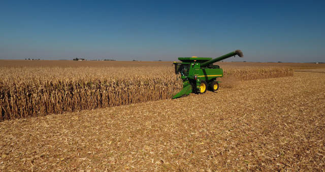 Agronegócio Agricultura Grãos Trigo