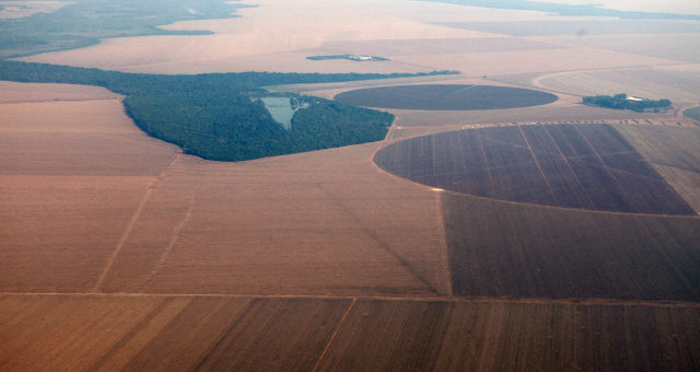 Soja no Mato Grosso