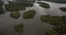 Trecho do rio Xingu