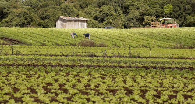 Agricultura