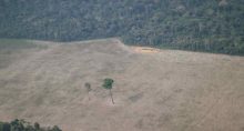 Vista aérea de área desmatada na floresta amazônica perto de Porto Velho 14/08/2020