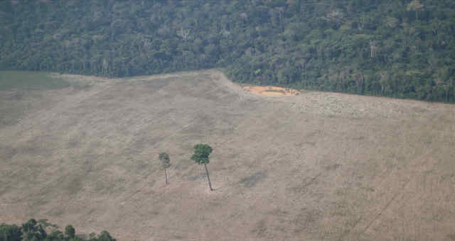 Vista aérea de área desmatada na floresta amazônica perto de Porto Velho 14/08/2020