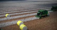 Agricultura, Agronegócio, Algodão, SLC Agrícola