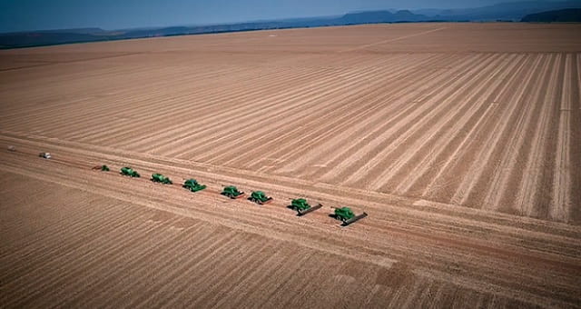 Agricultura, Agronegócio, SLC Agrícola