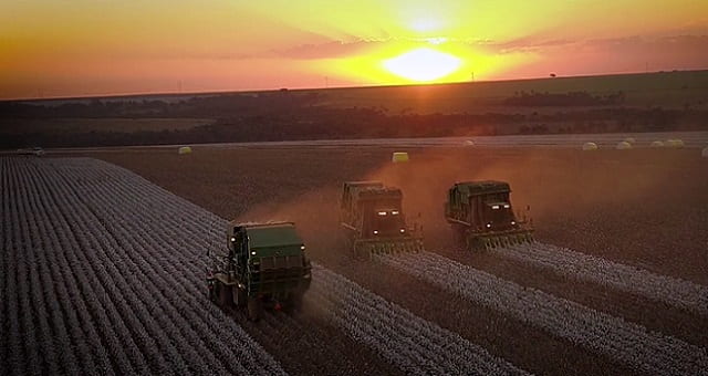 Agricultura, Agronegócio, SLC Agrícola