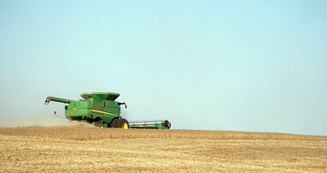 Grãos Soja Agronegócios