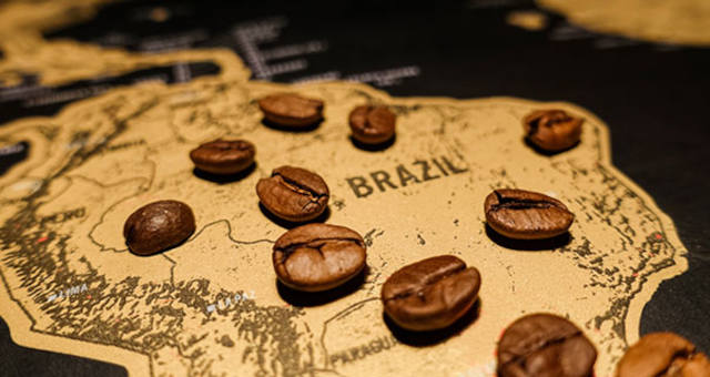 Café Grãos Commodities