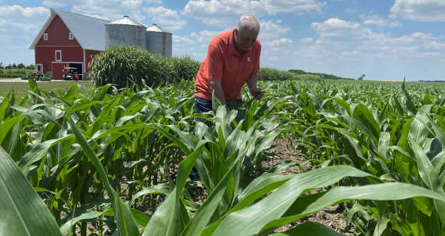 Agricultura