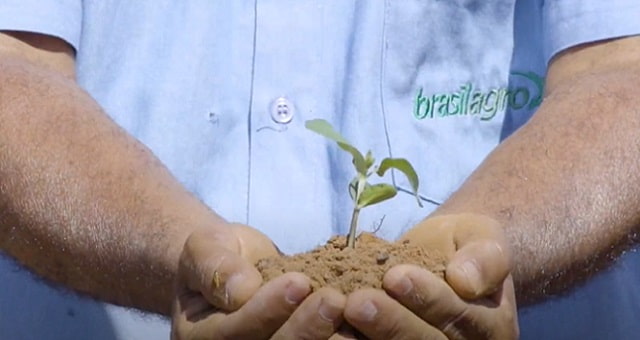 BrasilAgro