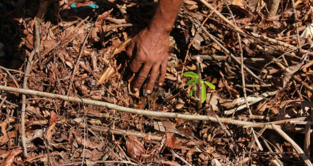 Agricultura Solo