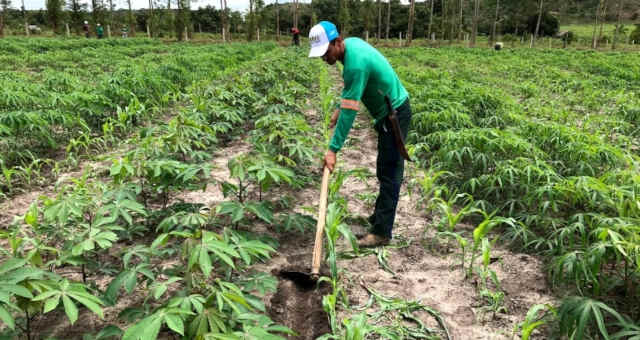 Agricultura Lavoura 