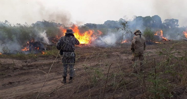 Pantanal