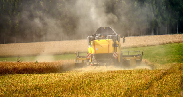 Grãos Soja Milho Agronegócio