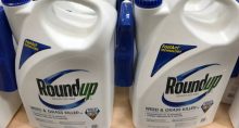 Roundup