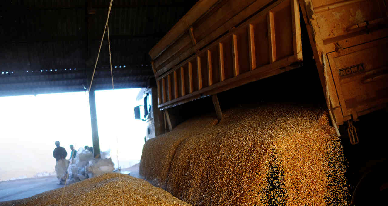 Soja Safras Grãos Commodities Logística Agronegócio