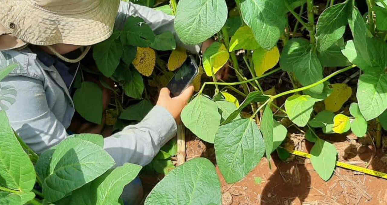 Agrodefensivos Agronegócio