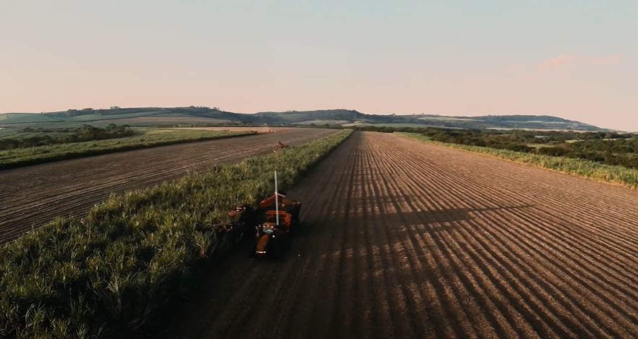 São Martinho ação agro