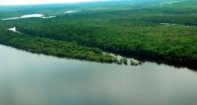 Amazonas