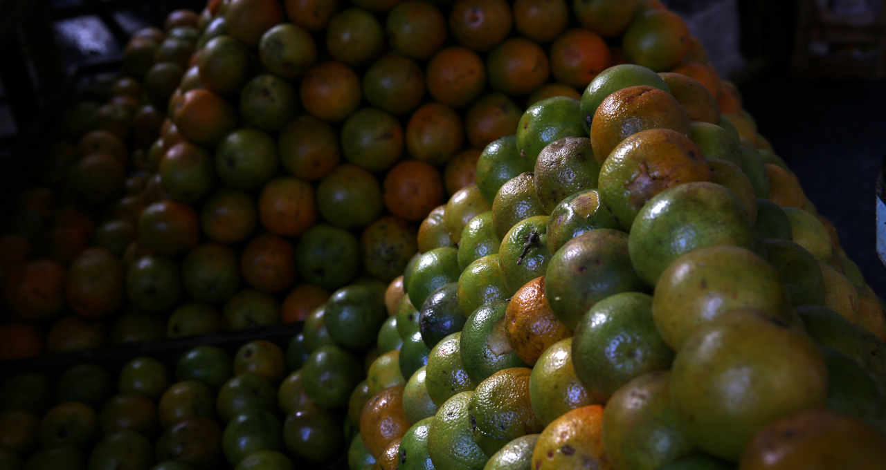 Laranjas à venda em barraca de feira no Rio de Janeiro