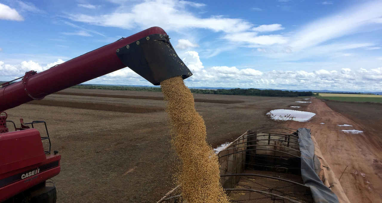 Soja em fazenda no Porto Nacional