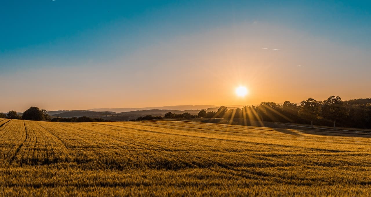 Terreno, área, agronegócio