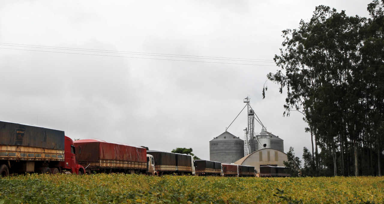 Grãos Commodities Caminhões Logística Agronegócio