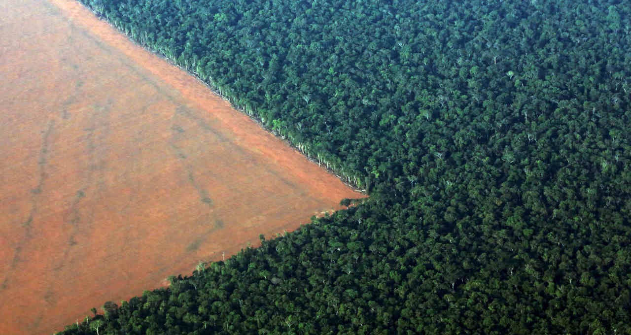 Amazônia Desmatamento Meio Ambiente