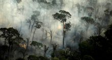 Amazônia