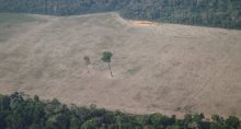 Amazônia Desmatamento