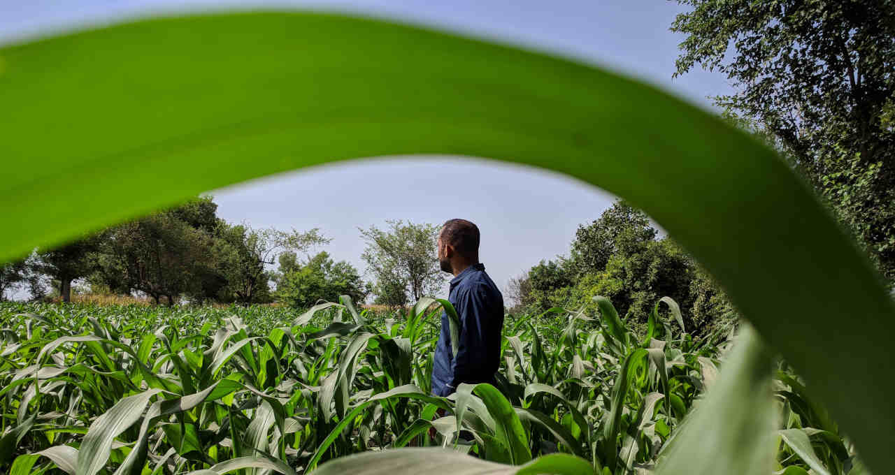 Fazendeiro Agricultura Agronegócio