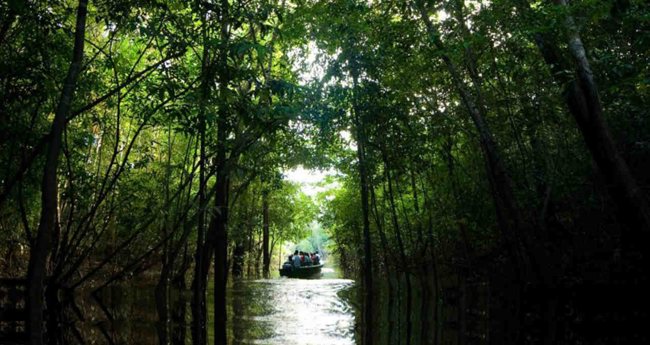 Amazônia