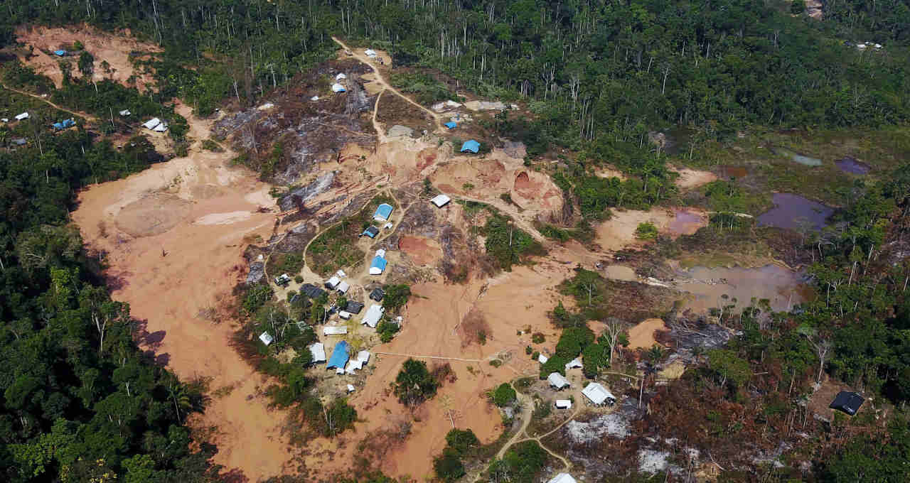 Desmatamento, Amazonia