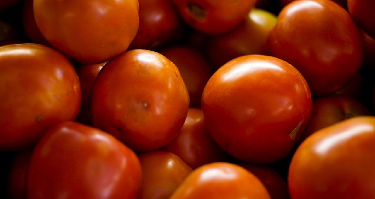 Tomates