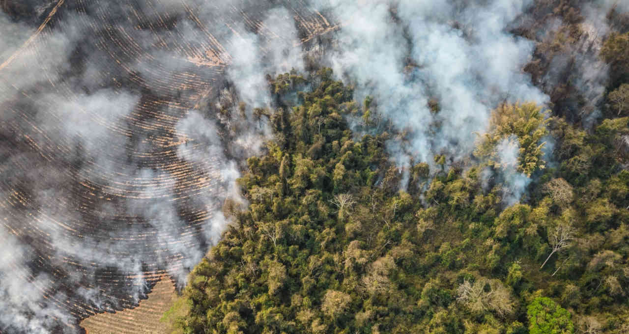 Clima/Meio Ambiente