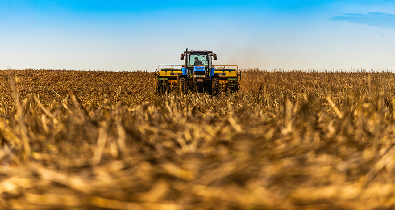 Anec Soja Agricultura Agronegócio