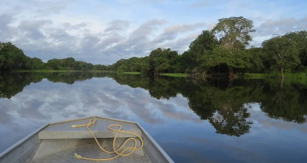 Amazônia