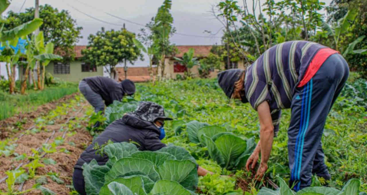 Agricultura Familiar