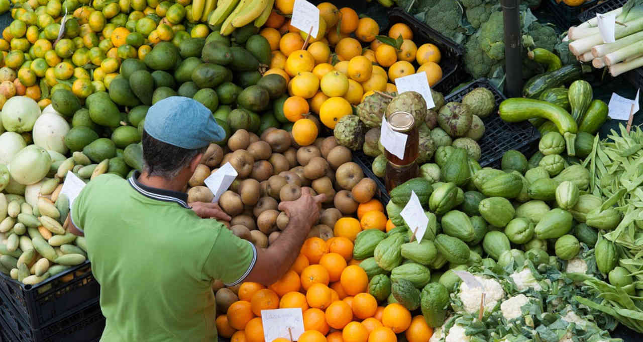 Alimentos