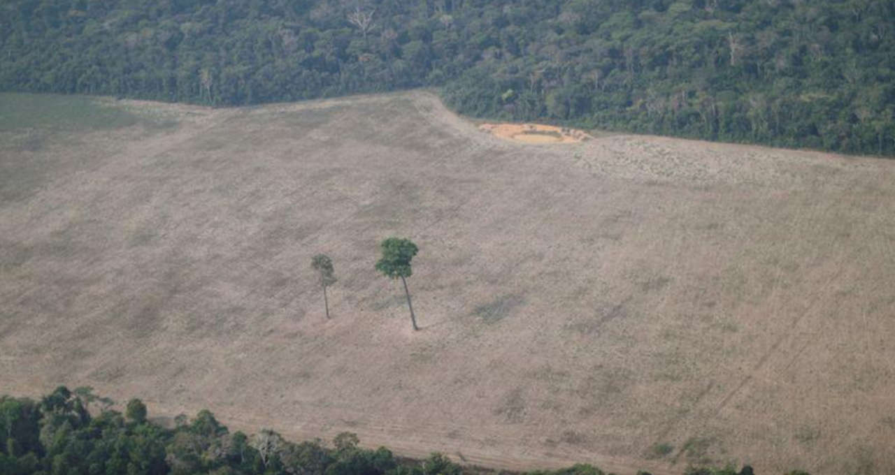 Floresta Amazônica reuters