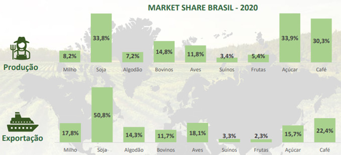 Grafico